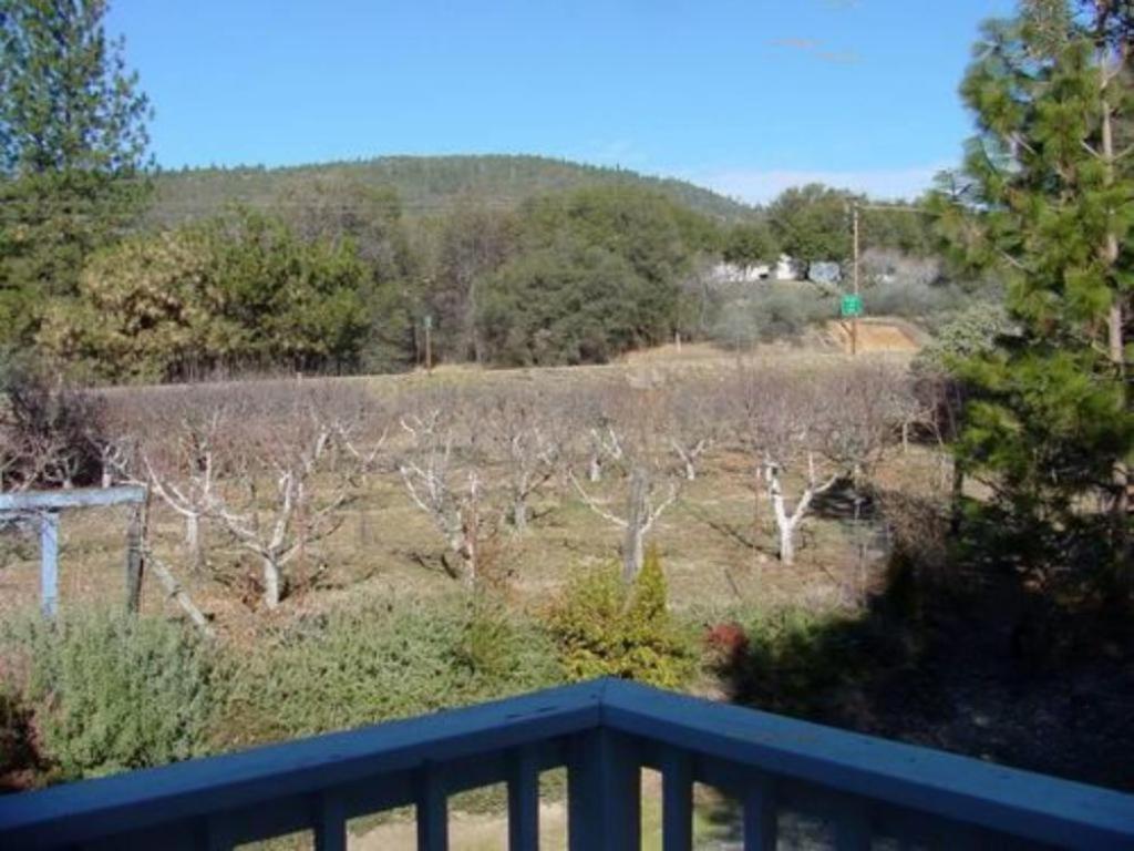 Bed & Breakfast Apple Blossom 3*